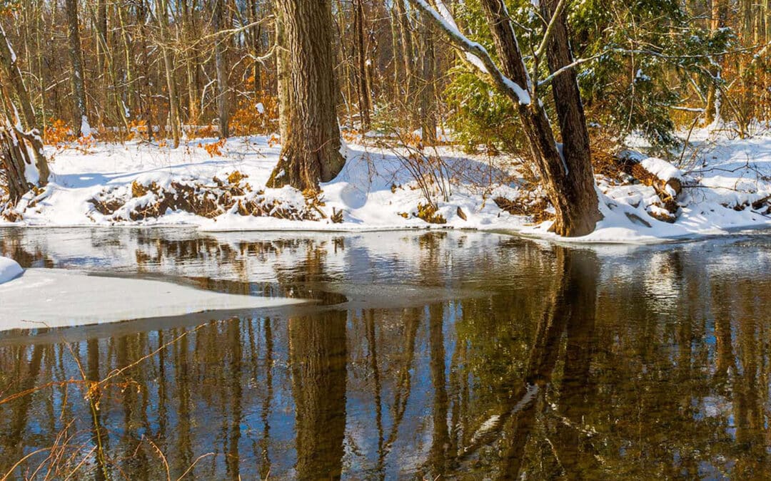 Somers looks ahead to 2026 with tax review, upgrades