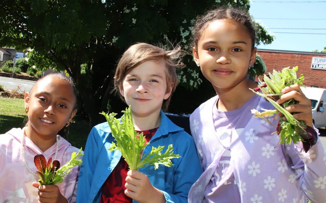 West Springfield school gardens plant seeds for love of veggies