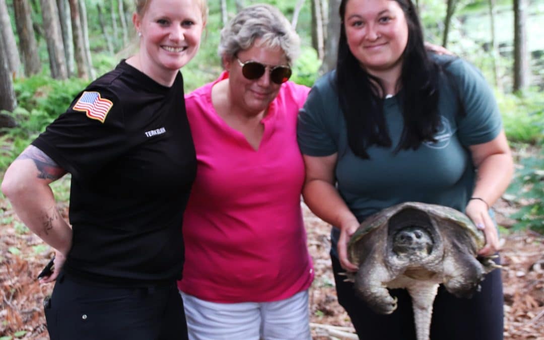Neighbor’s prayers heard as turtle she saved returns to Westfield