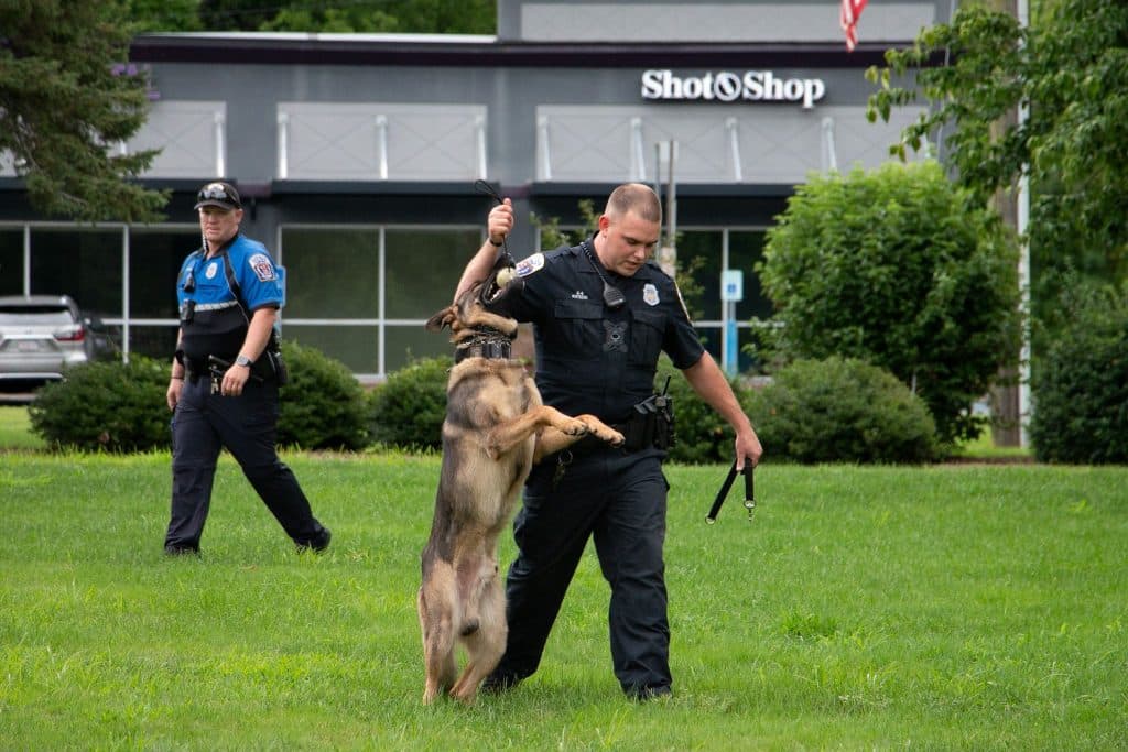  K-9 Kotecki demonstrating K-9 training tactics.