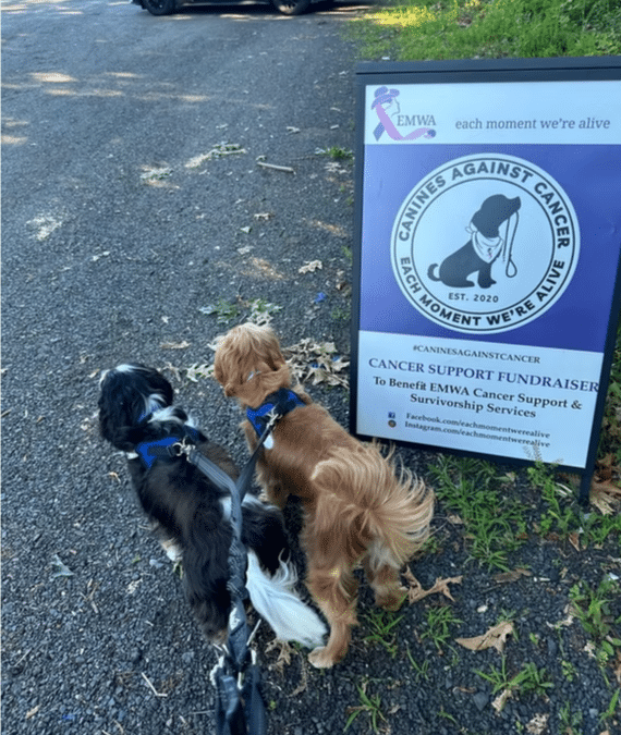 Annual cancer walk to benefit survivor charity