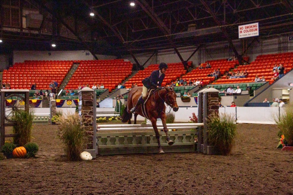 a woman riding a horse jumping over a gate inside an arena