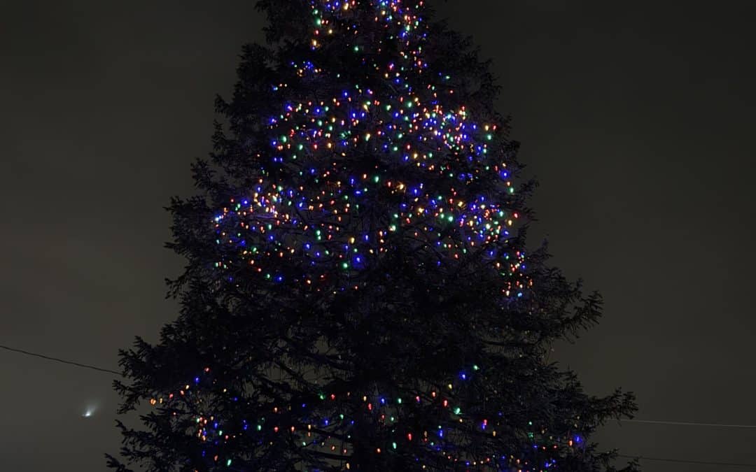 East Longmeadow Lions Club sponsors Christmas tree lighting