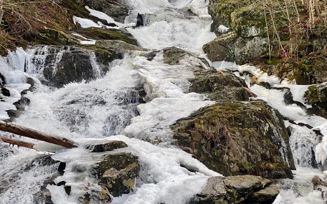 Celebrate the New Year 2026 with a First Day Hike