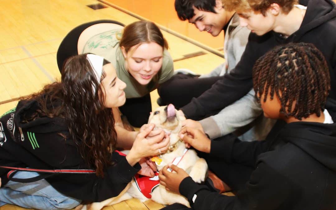 Agawam High School abuzz over arrival of therapy dog